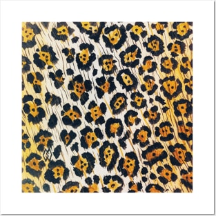 Jaguar rosettes Posters and Art